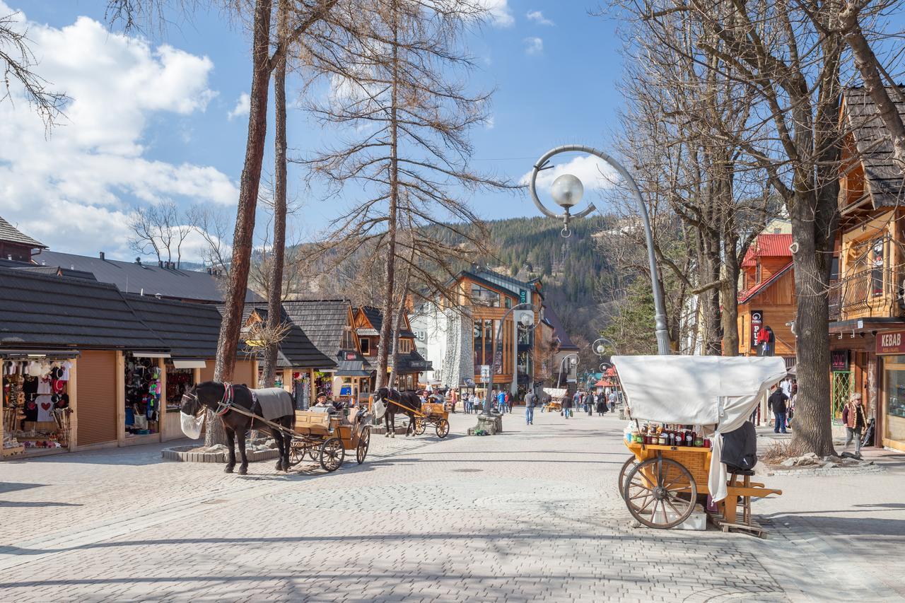 Rent Like Home - Tetmajera Zakopane Buitenkant foto