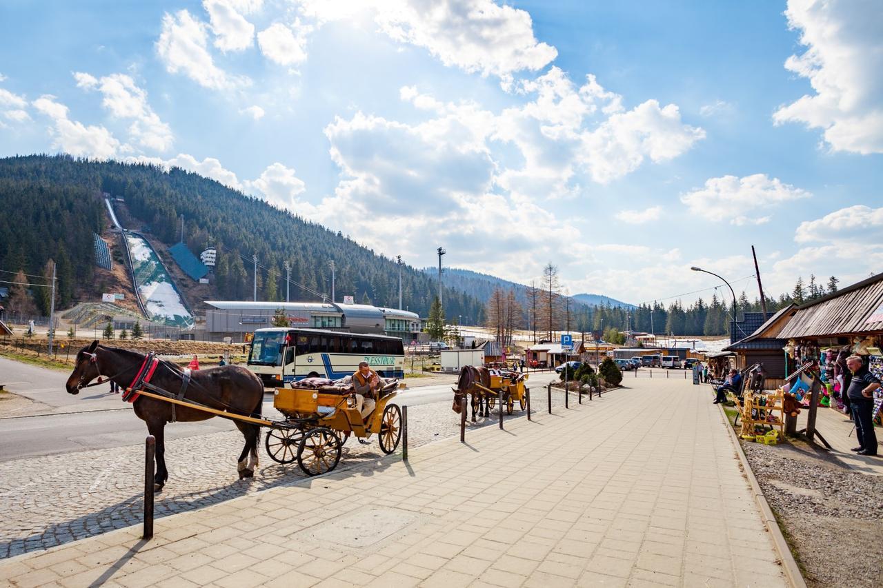 Rent Like Home - Tetmajera Zakopane Buitenkant foto